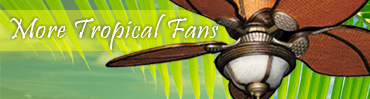 More Tropical Fans