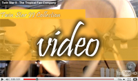 Twinstar Video Link