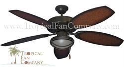 Raindance Outdoor Dark Ceiling fan with outdoor light