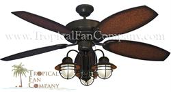 Raindance Outdoor Dark Ceiling fan with outdoor light